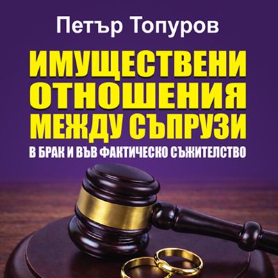 Книга Имуществени отношения между съпрузи в брак и във фактическо съжителство